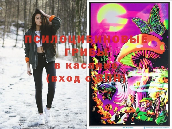 2c-b Краснотурьинск