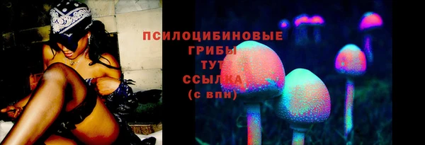 таблы Краснослободск