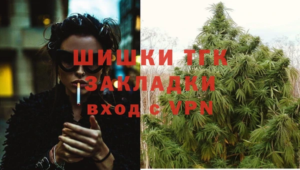 таблы Краснослободск