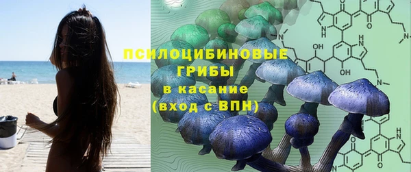 таблы Краснослободск