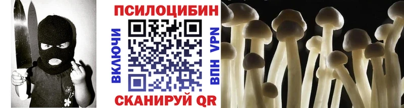 Купить закладки  Бежецк  Псилоцибиновые грибы Magic Shrooms 