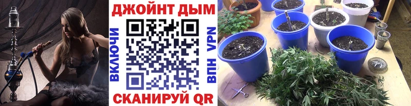 Канабис сатива Бежецк